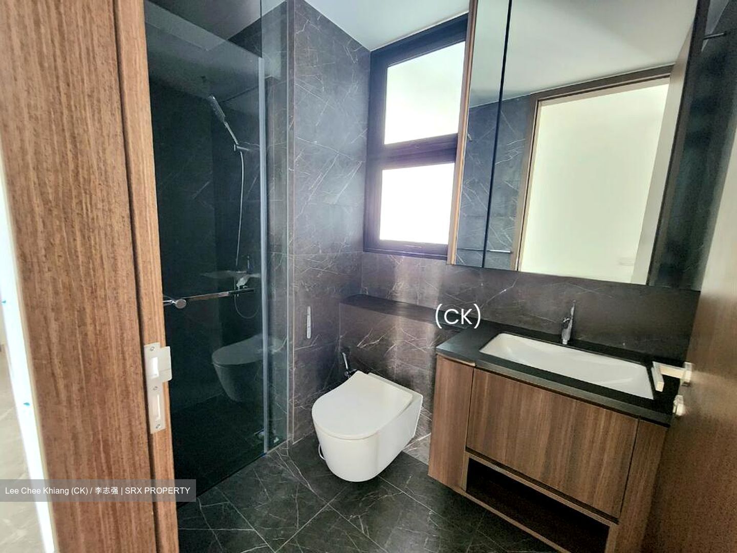 Kopar At Newton (D9), Apartment #628427561
